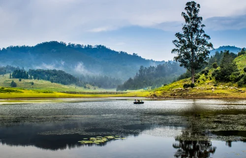 Planning a trip to Kodaikanal