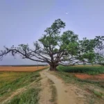 Mysterious Places in India