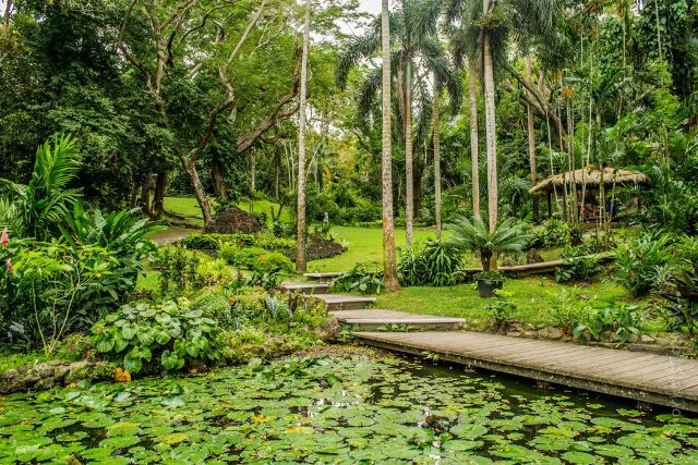 the flora and fauna of Fiji’s Sleeping Giant