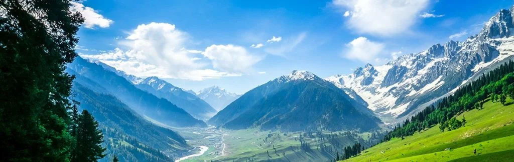 Sonmarg, the golden bounty of nature