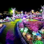 The Chiang Mai Flower Festival