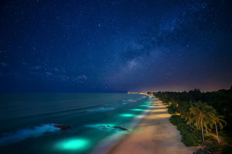 Bioluminescence-2