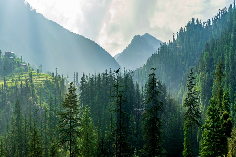 A mountain valley, Jibhi, Tirthan Valley, Himachal Pradesh, Indi