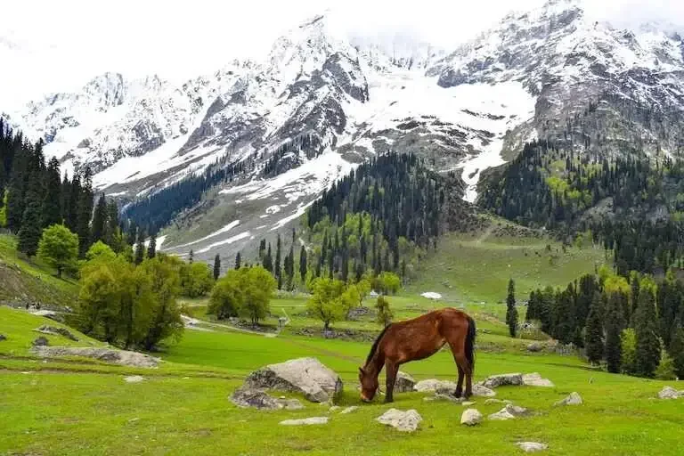 Exploring Pahalgam: Nature, adventure, and serene spaces