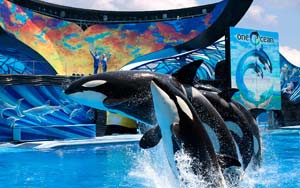 6-Day Summer Sunny Florida