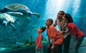 7-Day Summer Discover Orlando