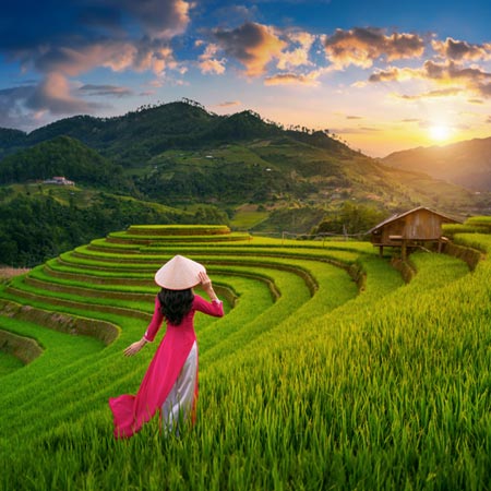 Wonders Of Vietnam With Ho Chi Minh
