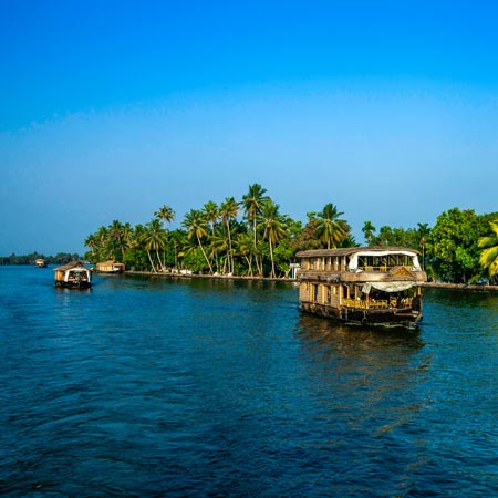 Kerala Delight