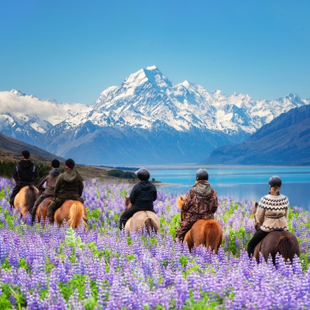 Amazing New Zealand