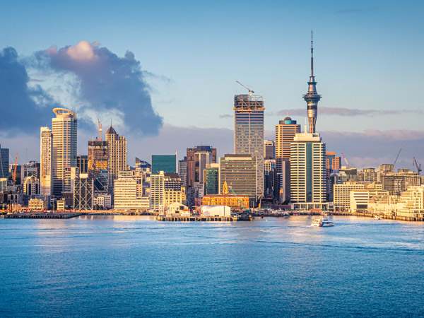 Amazing New Zealand Summer