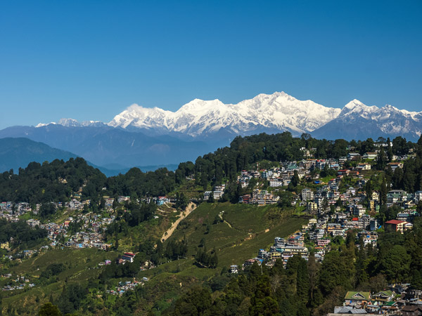 North East Delight with Pelling