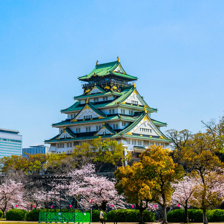 Japan Van Tours
