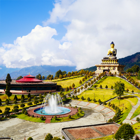 North East Delight with Pelling