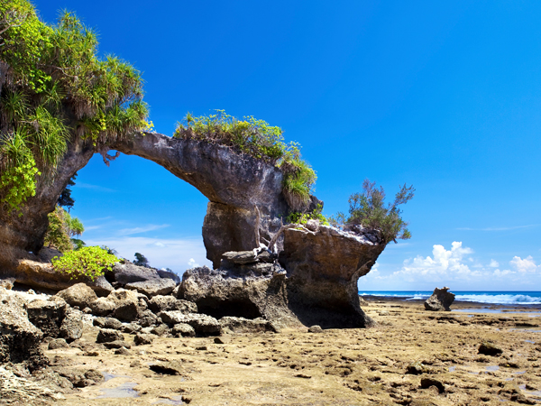 Andaman Week Fully Loaded with Baratang Neil