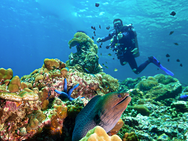 Andaman Fully Loaded With Neil