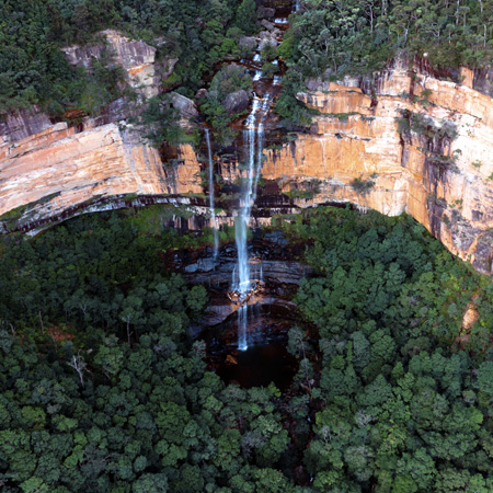 Adored Australia