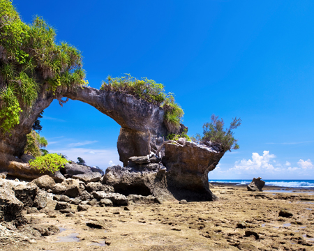 Andaman Fully Loaded With Neil Stay