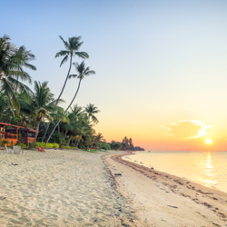 Beaches and sunshine