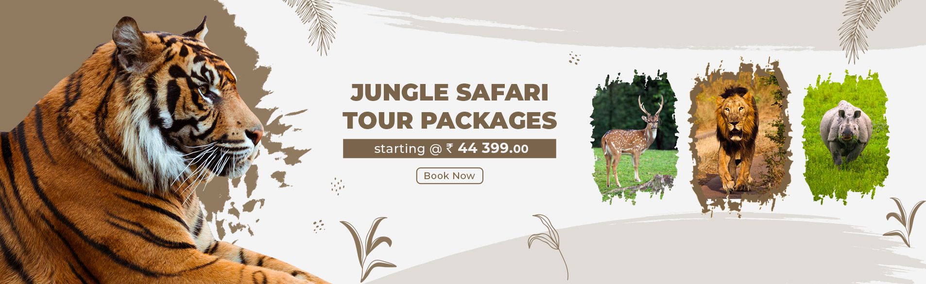 Jungle Safari Tour Packages