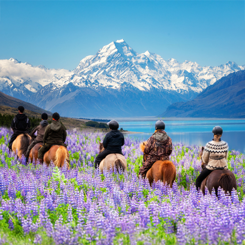 Amazing New Zealand Winter