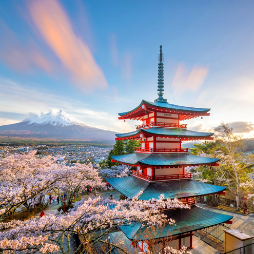 Japan Cherry Blossom (Tokyo-Kobe)