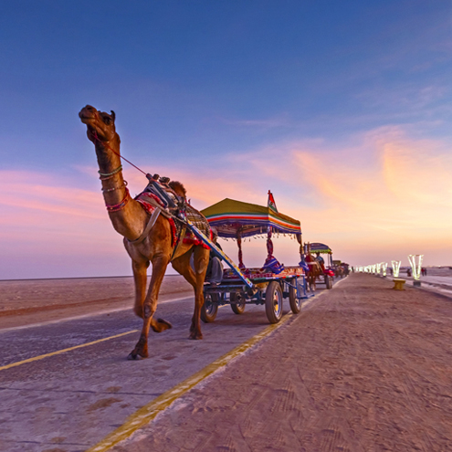 Rann utsav Tour Packages