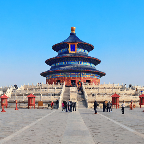 China with Japan Cherry Blossom (Tokyo-Beijing)