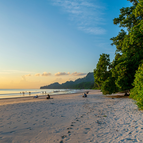 Andaman - Buy 1 Get 1 Free