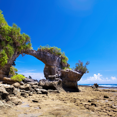 Andaman Fully Loaded With Neil Stay