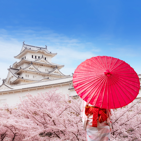 Japan Cherry Blossom (Tokyo-Kobe)