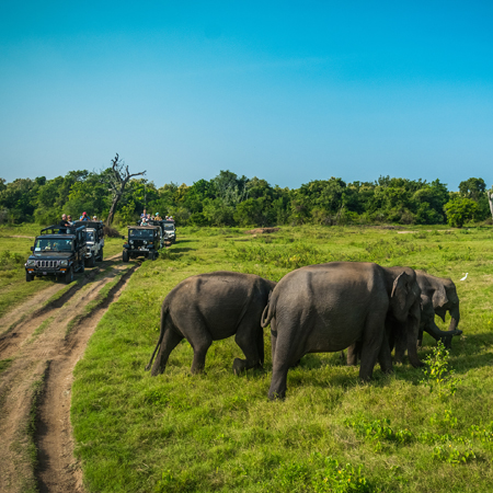 Whale Tale Ramayan Trail Private Holiday