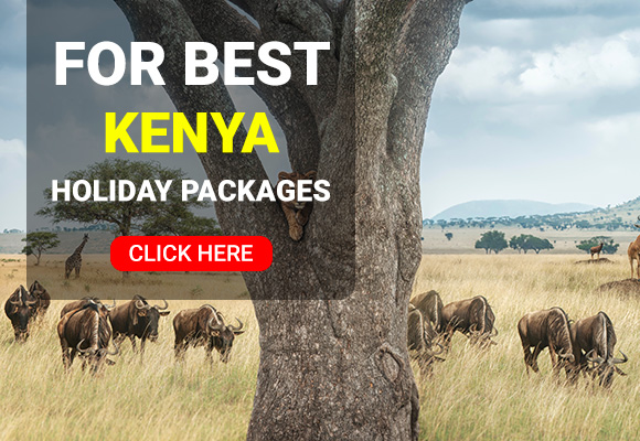 kenya travel guide cdc