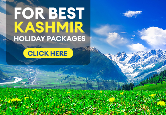 prepare a travel guide or brochure of jammu and kashmir